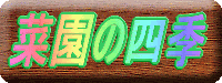 家庭菜園 菊づくり と 菜園の四季